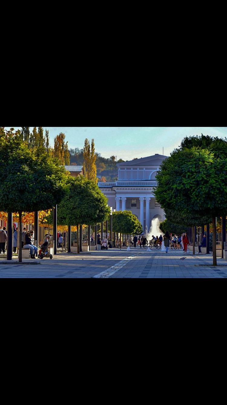 Апартаменти Refugiul Castelului Хунедоара Екстер'єр фото